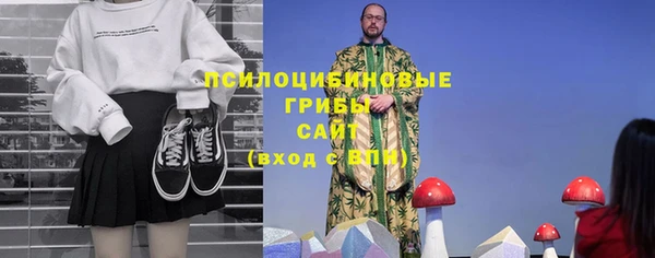 молекула духа Армянск