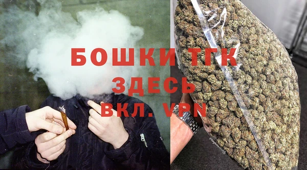 стафф Новодвинск