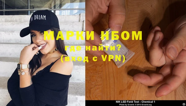 гашик Новокубанск