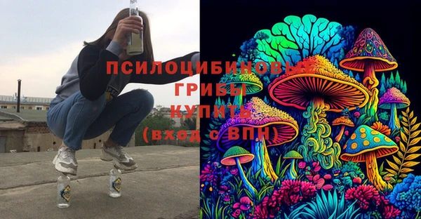 молекула духа Армянск