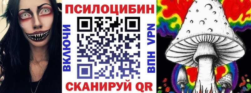 даркнет наркотические препараты  Чкаловск  Псилоцибиновые грибы Magic Shrooms  купить наркотики сайты 
